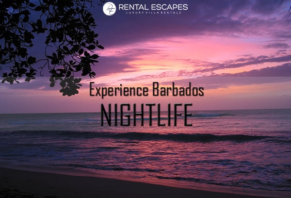 Experience Barbados Nightlife Rental Escapes